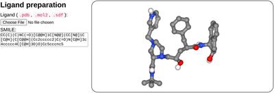 SeamDock: An Interactive and Collaborative Online Docking Resource to Assist Small Compound Molecular Docking